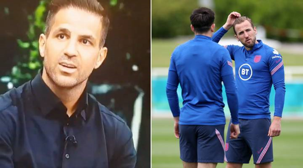 Cesc Fabregas: "ĐT Anh có nhiều nét giống Tây Ban Nha 2008"