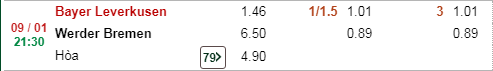 soi-keo-keo-bayer-leverkusen-vs-werder-bremen-21h30-ngay-09-01-4